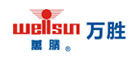 ʤWELLSUN