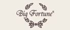 BigFortune����