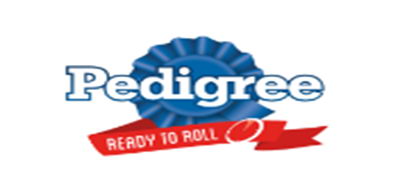 ��·����