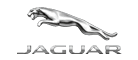 JAGUARݱ