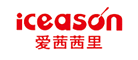 ICEASON