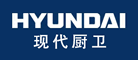 Hyundaiִ