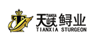 ϿTIANXIA