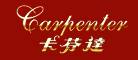 Ҵcarpenter