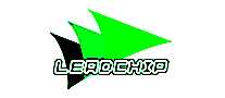 LEADCHIP
