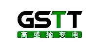 ʢGSTT