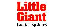 LittleGiant׶
