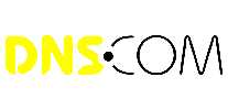 ۶˼DNS