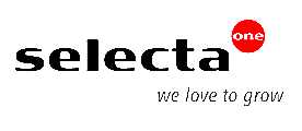 SELECTAϲִ