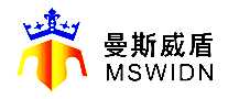 ˹MSWIDN