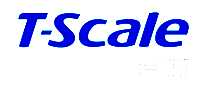 ̨T Scale