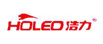 ����HOLEO