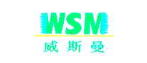 ˹WSM