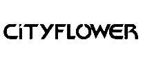 CITYFLOWER