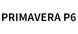 Primavera P6