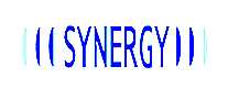SYNERGY