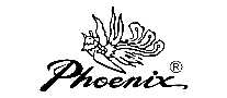 ˻Phoenix