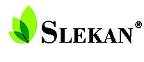 ǿֿSLEKAN