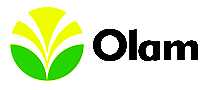 Olam