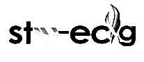 stw ecig