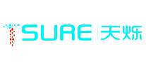 ˸TSURE