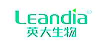 Ӣ������LEANDIA