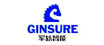 GINSURE