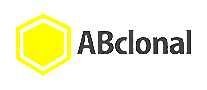Abclonal