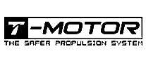 T MOTOR