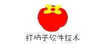 ˾