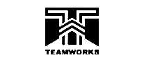 ̹TEAMWORKS