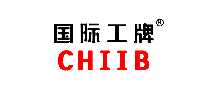 ���ʹ���CHIIB