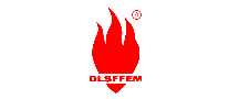 DLSFFEM