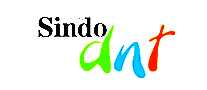 Sindo dnt