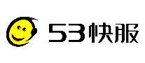 53