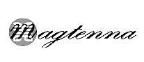 ̩IC