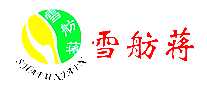 ѩ