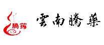 ҩTengyao