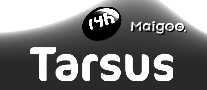 Tarsus˹