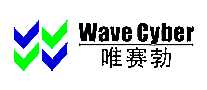 ΨWaveCyber??