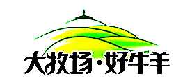ţ