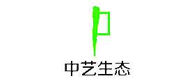 ̬