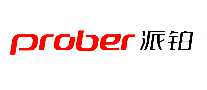 ɲProber