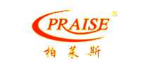 ˹PRAISE