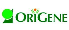 OriGene