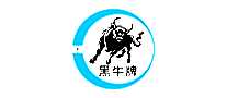 ţ