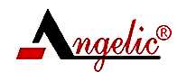 ݰװAngelic