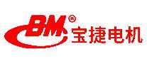 ݵBM