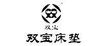˫