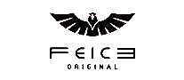FEICE